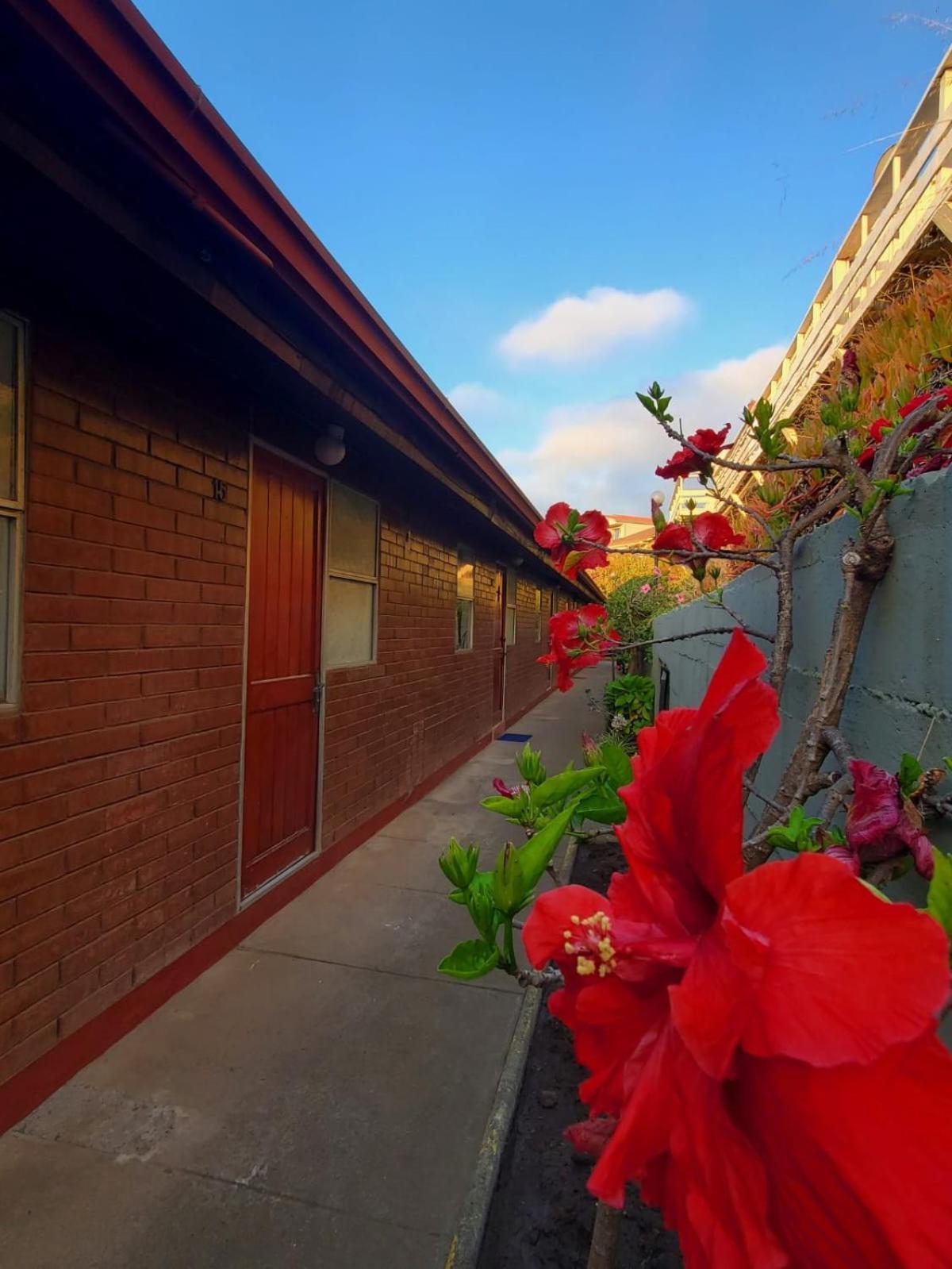 Litorina Beach House Apartamento Vina del Mar